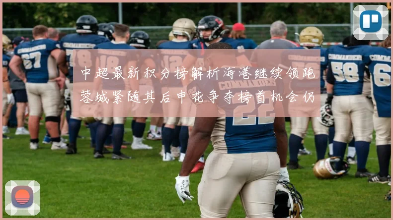 中超最新积分榜解析海港继续领跑蓉城紧随其后申花争夺榜首机会仍在