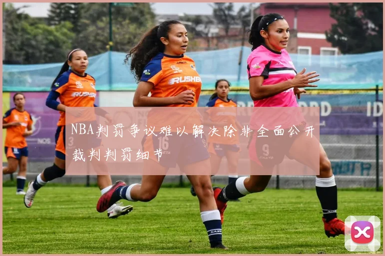 NBA判罚争议难以解决除非全面公开裁判判罚细节