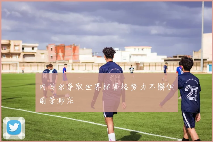 内马尔争取世界杯资格努力不懈但前景渺茫