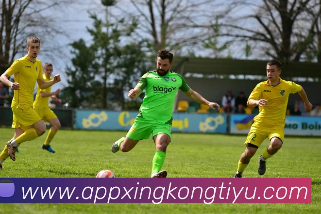 星空体育平台生态图