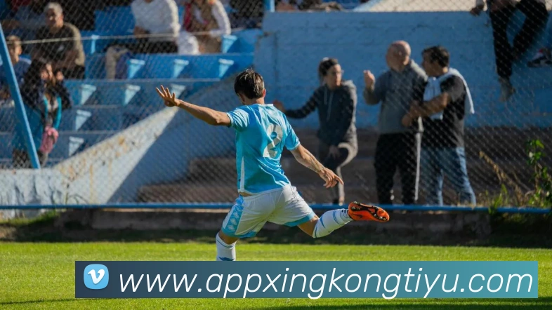 星空体育APP 封面图