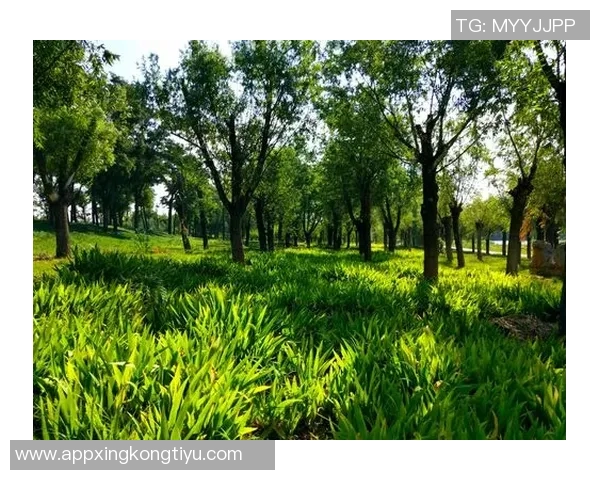 泰尔齐奇对加图索充满信心期待他打造强队的未来 泰尔齐奇对加图索充满信心期待他打造强队的未来